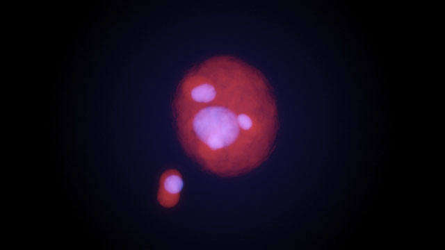 Simulation of the merging events in Abell 2744